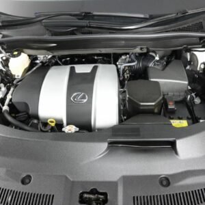 2020 Lexus RX350 F-Sport for sale